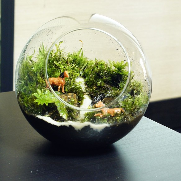 15cm ボトルテラリウム 苔テラリウム 完成品 現物 苔盆景 テラリウム 木化石 ウマが休む小川 フラワー リース 苔庵 介る Scale 通販 Creema クリーマ ハンドメイド 手作り クラフト作品の販売サイト 15cm ボトルテラリウム 苔テラリウム 完成品 現物 苔盆景 テラリウム 木化石 ウマが休む小川 フラワー リース 苔庵 介る Scale 通販 Creema クリーマ ハンドメイド 手作り クラフト作品の販売サイト