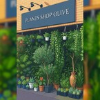 PLANTS SHOP OLIVE