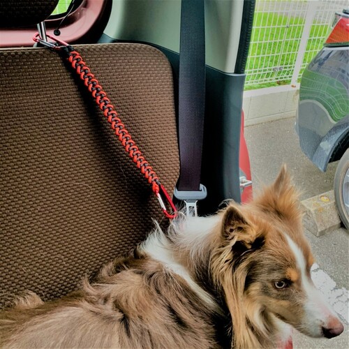 車や犬に便利な両側フックロープ 赤 その他雑貨 Yukana Bell 通販 Creema クリーマ ハンドメイド 手作り クラフト作品の販売サイト